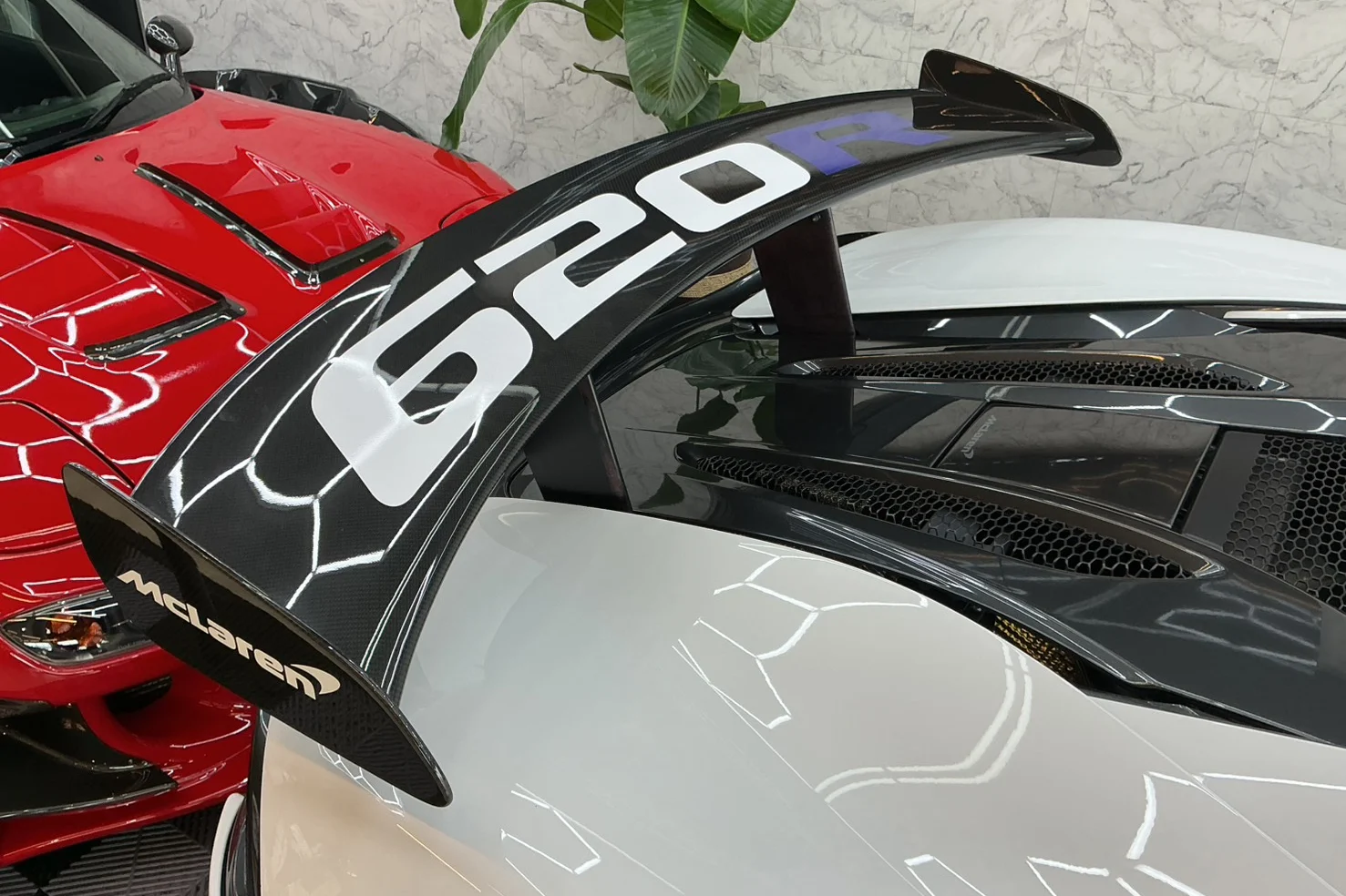 ギャラリー画像4